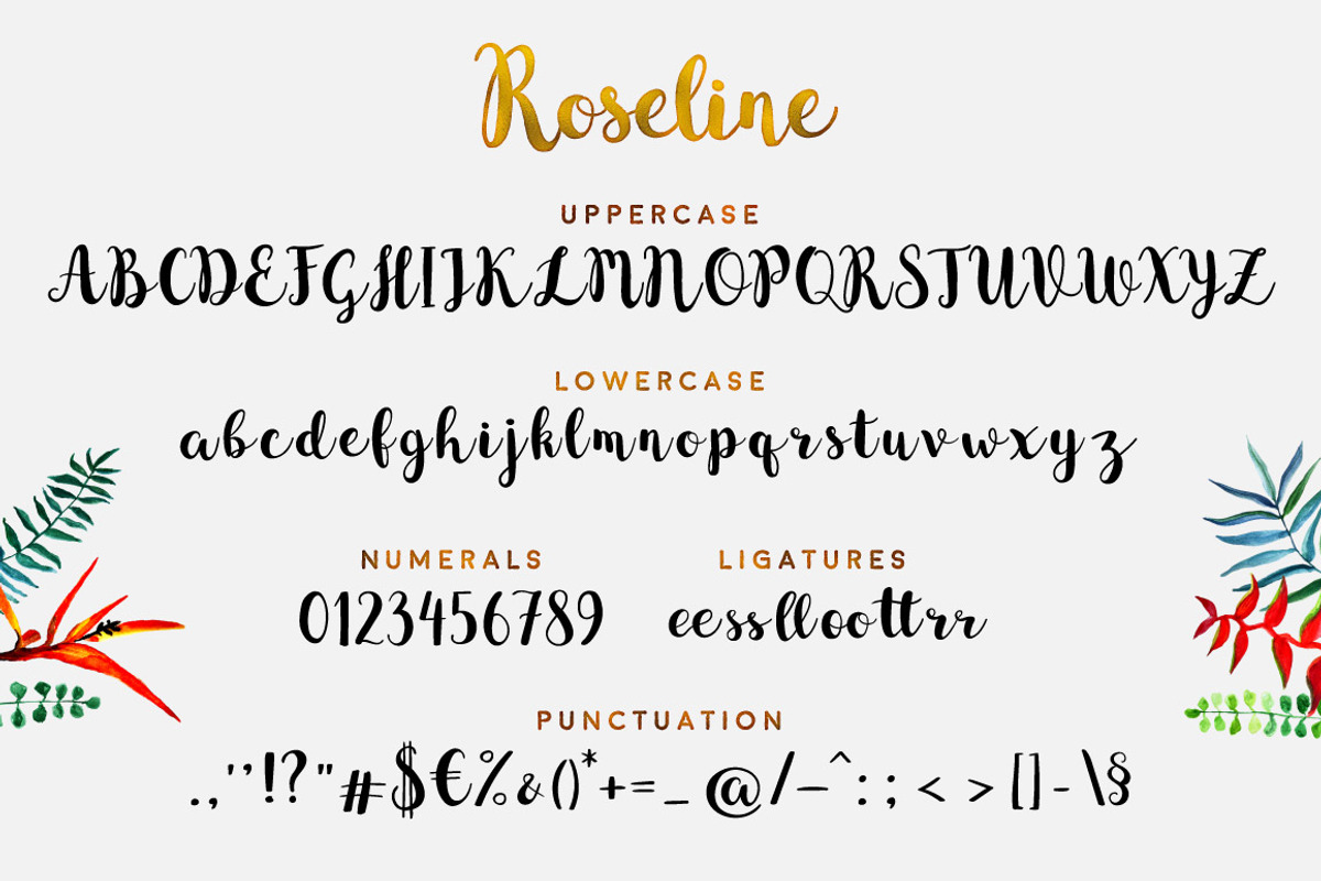 Roseline Font preview 2