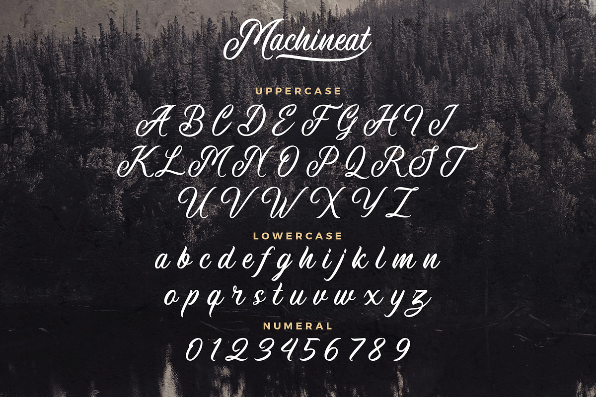 Machineat, a Script Font by Wacaksara Co. (Photo 10 of 10)