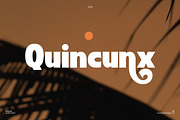 Bardy-Elegant Retro Sans Serif Font, a Sans Serif Font by Flawless And Co (Thumbnail 9 of 11)