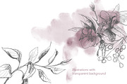 Botanical Line Art Collection, an Object Illustration by Colden Blue (Thumbnail 8 of 10)