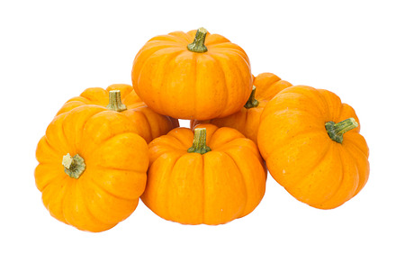 Mini Pumpkins At The Market preview 5