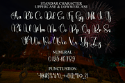 Birthday Majesty, a Handwritten Font by FreshTypeINK (Thumbnail 8 of 8)