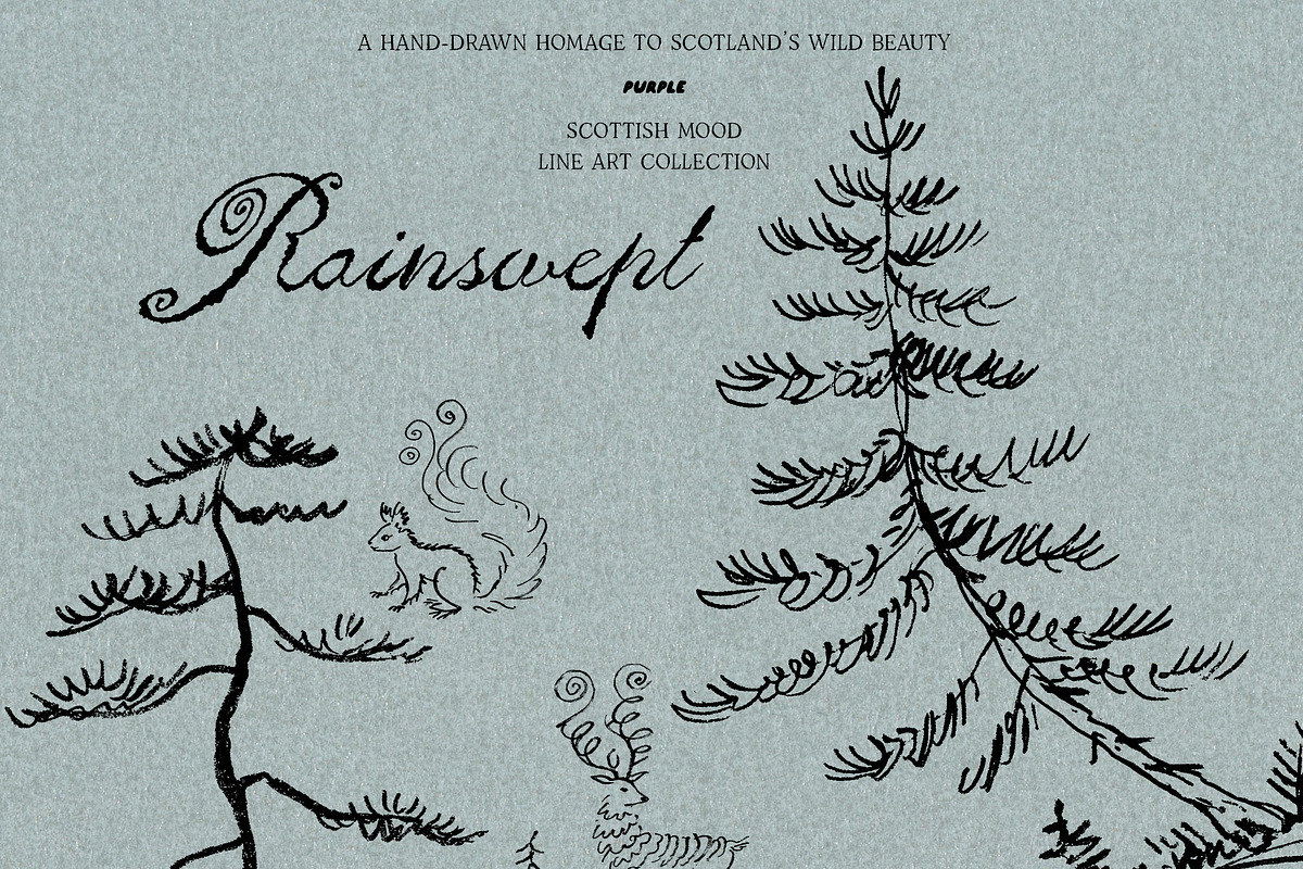 Rainswept Autumn Line Art Collection, an Object Illustration by Purple (Photo 13 of 15)