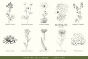 Botanical Floral Line Art Collection, a Decorative Illustration by AW Studios (Thumbnail 2 of 9)
