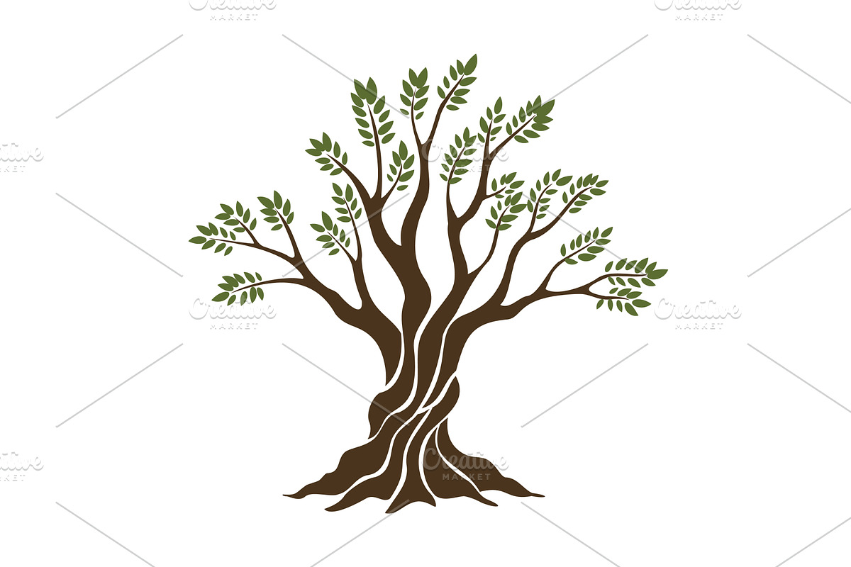 Olive trees with branches and, a Food Illustration by Things for designers