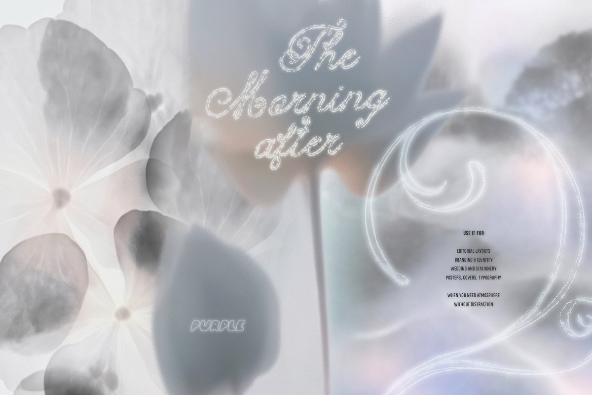 The Morning After: 70 Backgrounds, a Background Graphic by Purple (Photo 1 of 11)