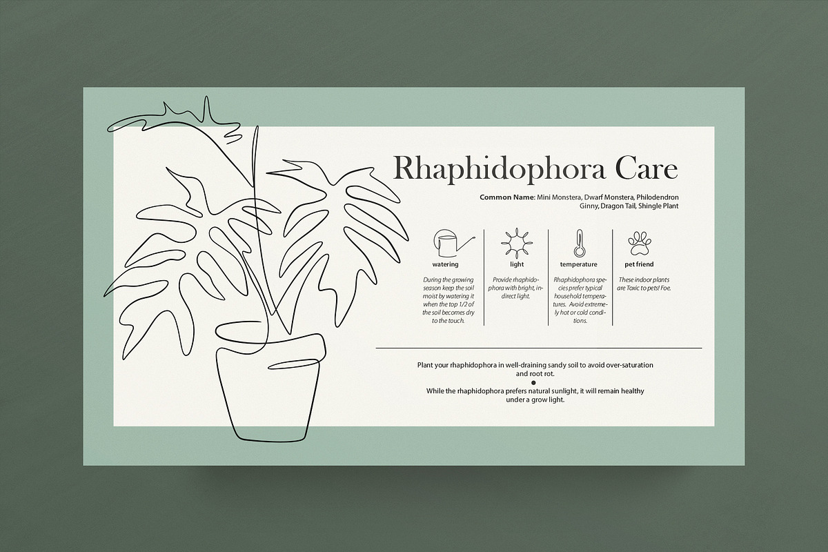 Home Plant Lover, a Decorative Illustration by Anna.Klets (Photo 8 of 11)