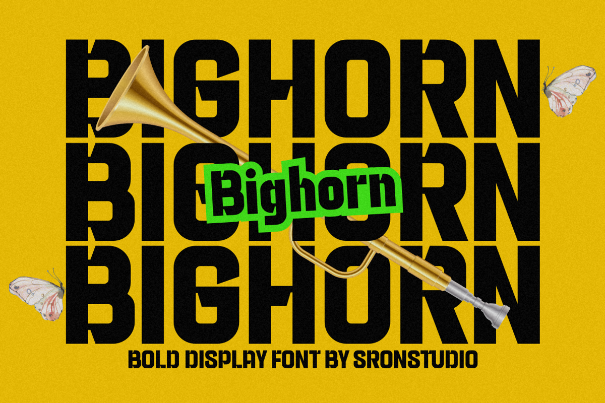 Bighorn - Bold Strong Font, a Sans Serif Font by Sronstudio (Photo 1 of 12)