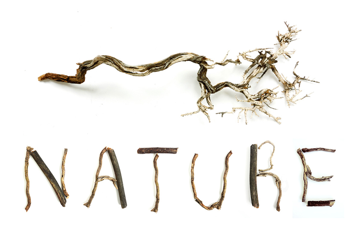 Alphabet made from branches preview 4
