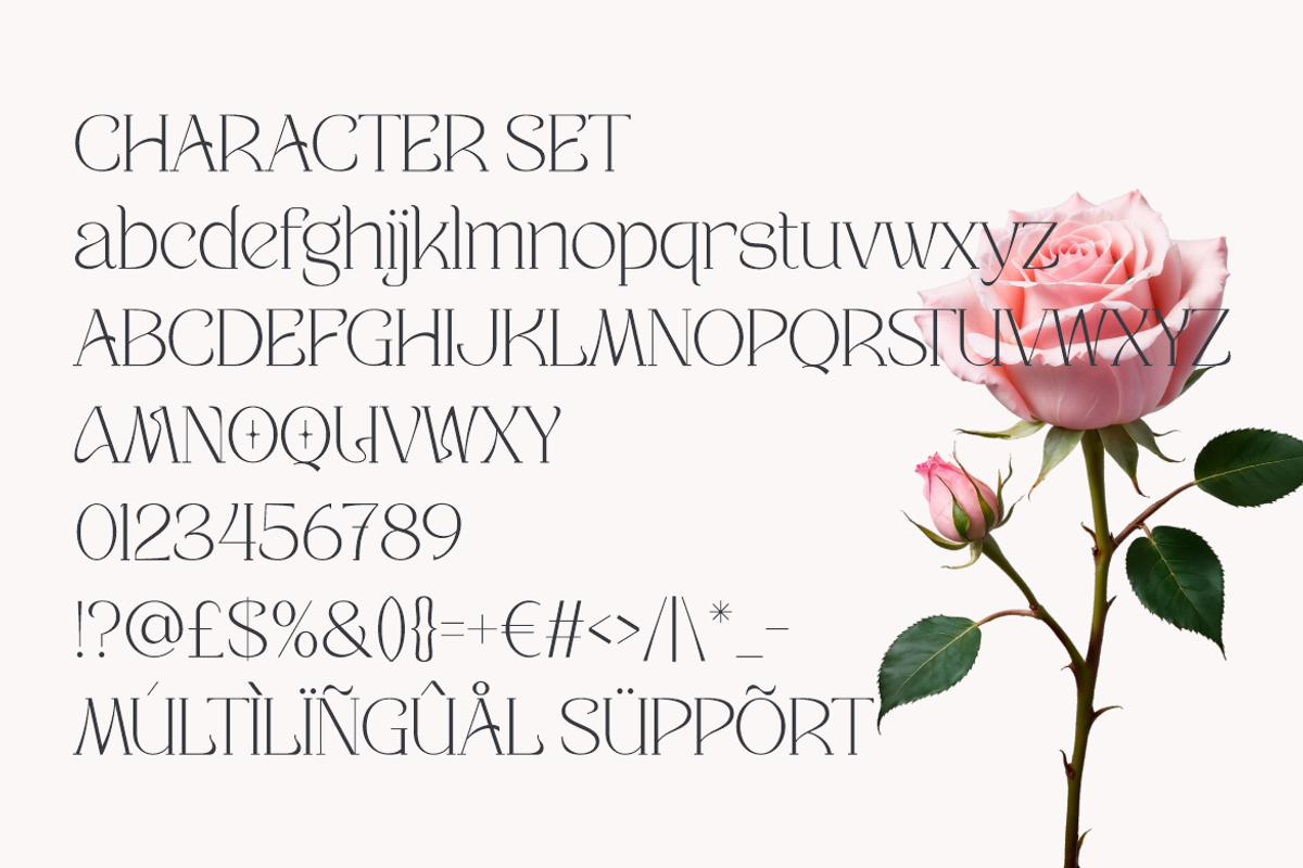 Velisse Feminine Serif Font, a Serif Font by PutraCetol Studio (Photo 5 of 5)