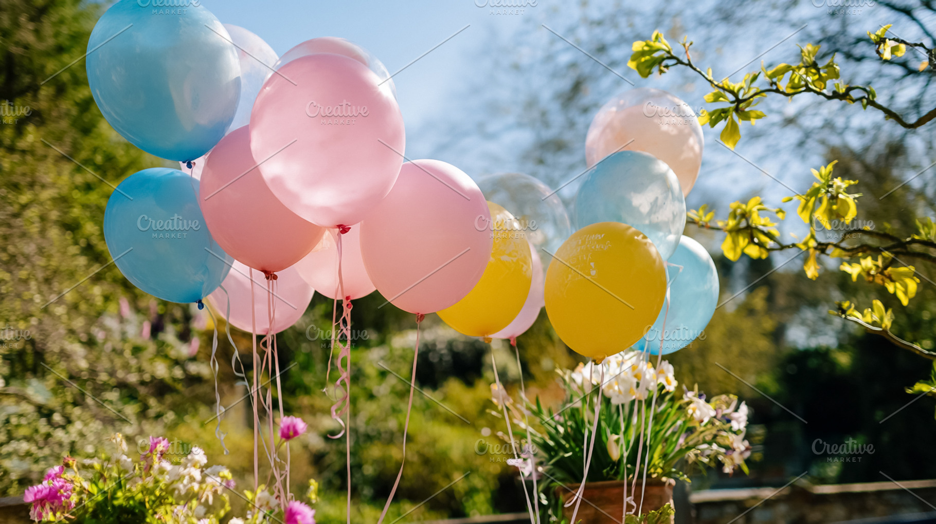 Colorful birthday celebration balloons floating outdoors in a sp, a Photo by Studio ANNA