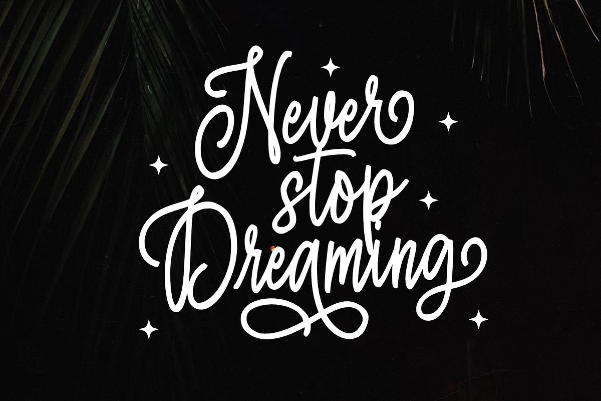 Wandering Moonlight, a Script Font by Damarletter (Photo 4 of 5)