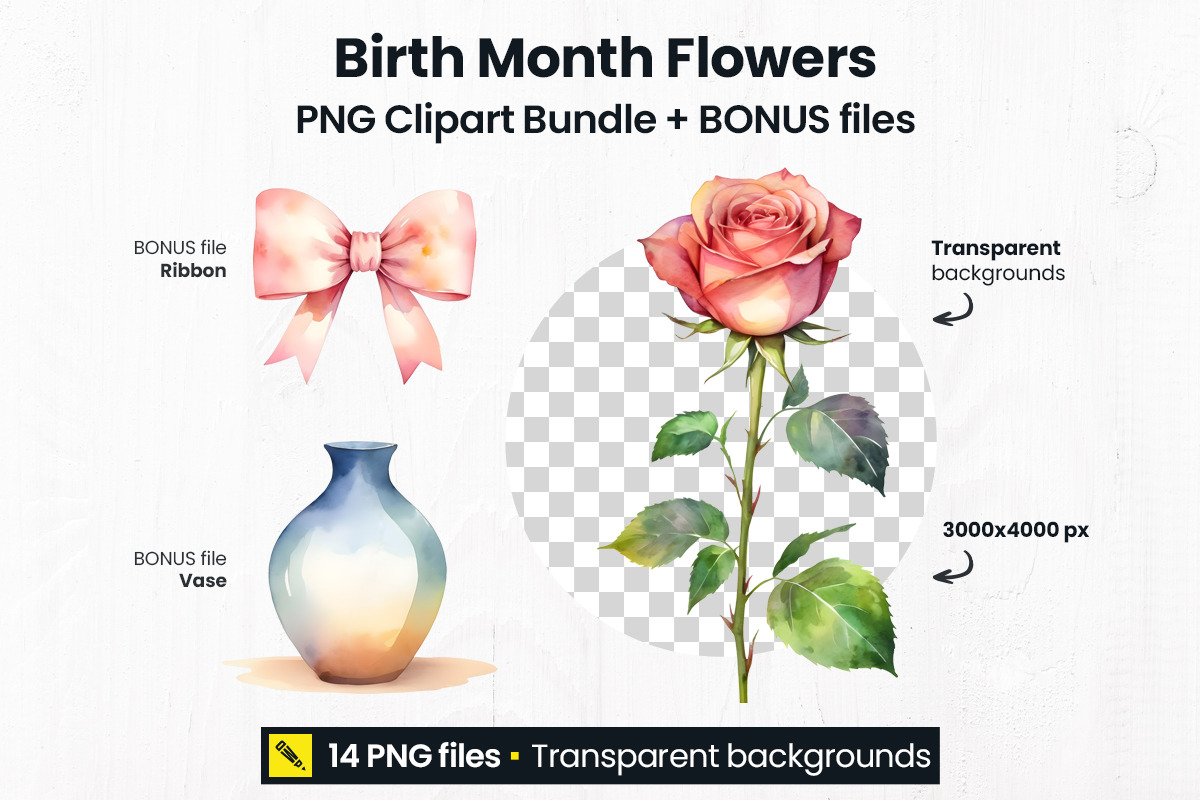 Birth Month Flowers Clipart PNG, a Graphic by DesignWP (Photo 2 of 8)