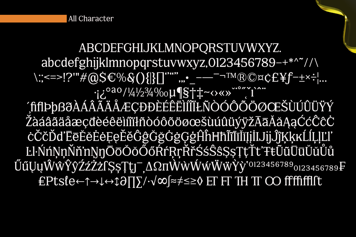 FX Njungkel - Serif Family Font, a Serif Font by Differentialtype (Photo 12 of 12)