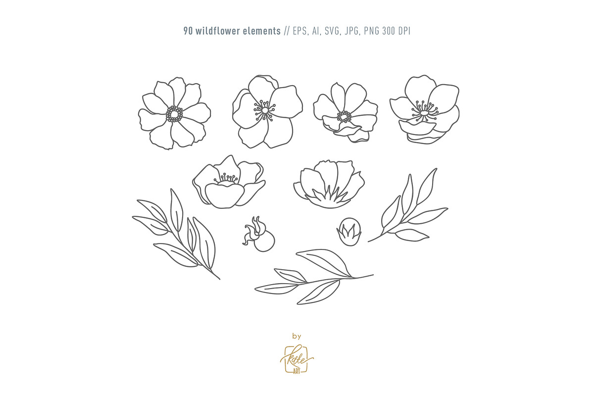 WILDFLOWER LINE ART, an Object Illustration by Kate Art (Photo 5 of 22)