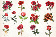 Red Lithograph Roses Clipart, an Illustration by Dream Creation (Thumbnail 3 of 4)
