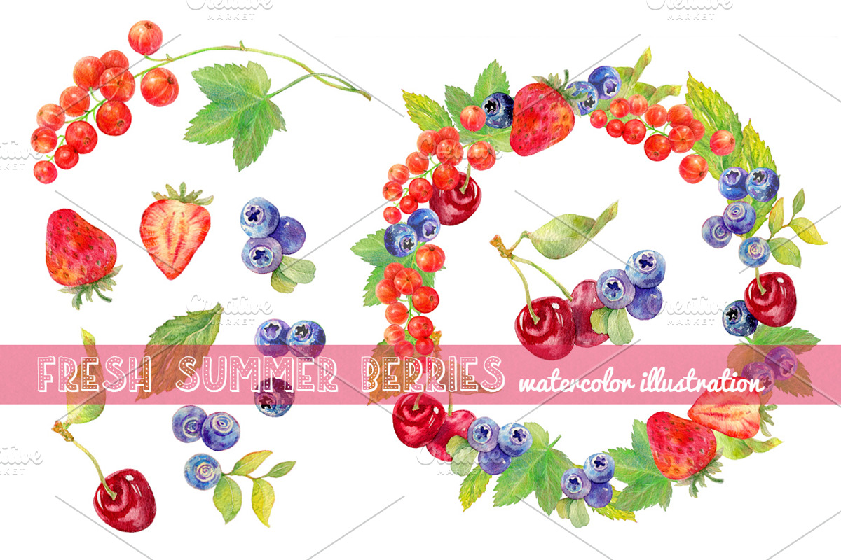 Watercolor summer berries, a Food Illustration by Natasha Koltsova (Photo 2 of 2)