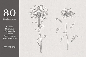 Summer Flowers. Line Art Floral Set.