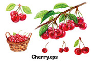 Fruits and berries collection_part 1, an Illustration by ZotovShop (Thumbnail 7 of 20)