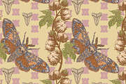 Hawk Moth, Cotton and Shark Tooth, a Pattern Graphic by NayaChu (Thumbnail 10 of 10)