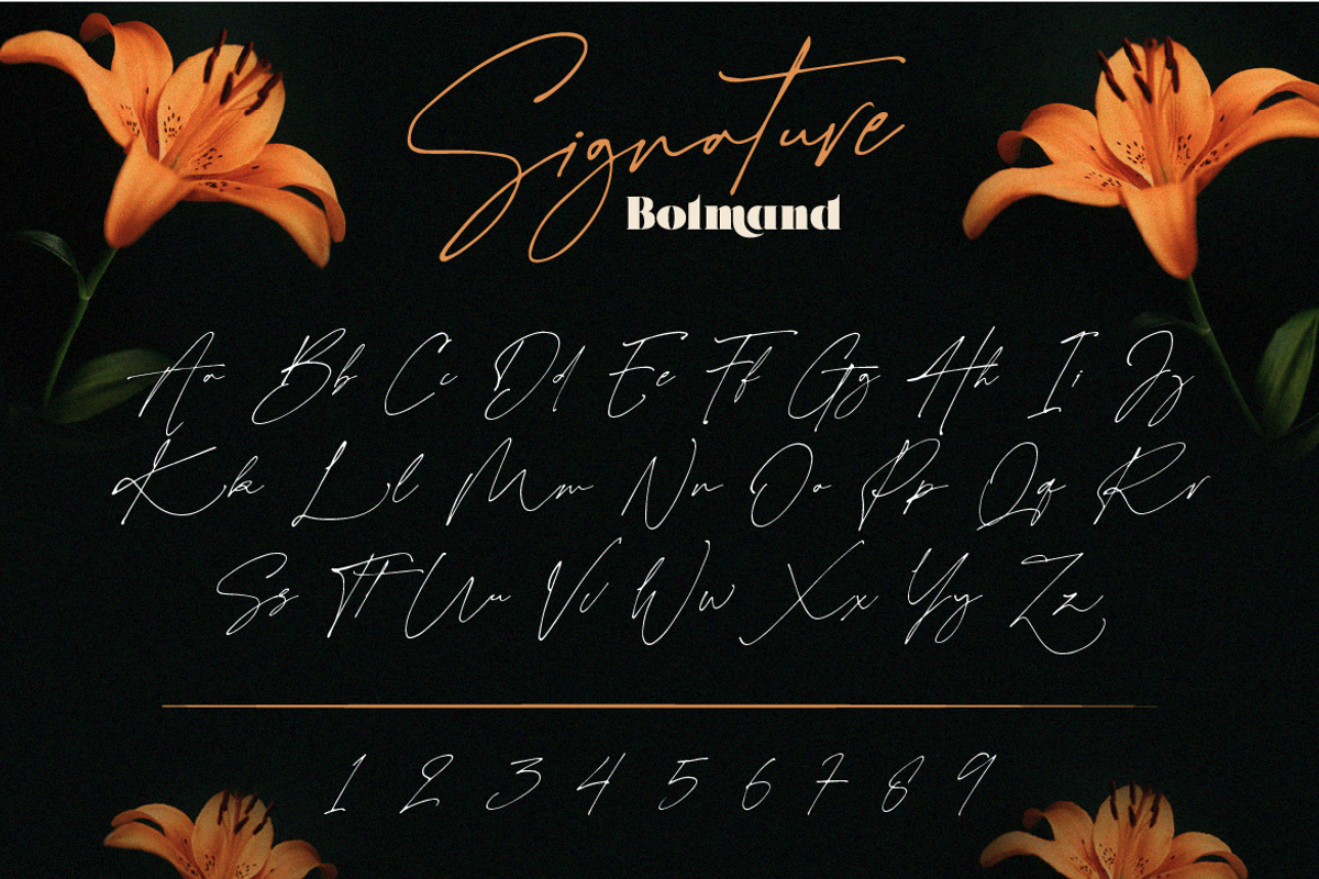 Bolmand Signature, a Serif Font by Burntilldead (Photo 6 of 12)