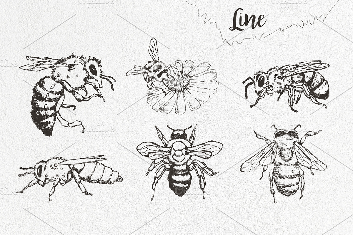 Honey bees, an Illustration by Onceli*art (Photo 3 of 7)