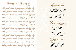 Montante Decorative Script