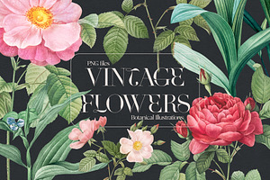 VINTAGE FLOWERS Vol.2 Watercolor Png