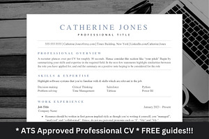 Professional Skill Based CV Template