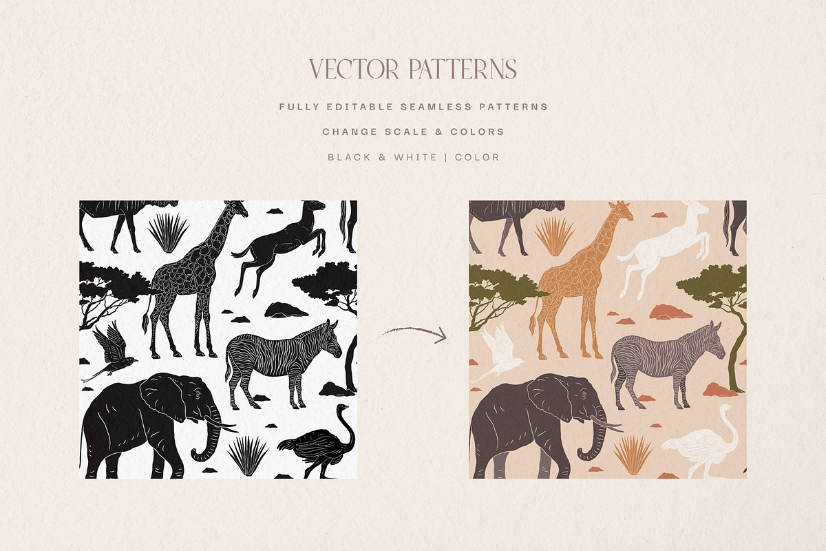 Starlit Safari Graphic Collection, an Animal Illustration by rouxsupplyco (Photo 14 of 16)