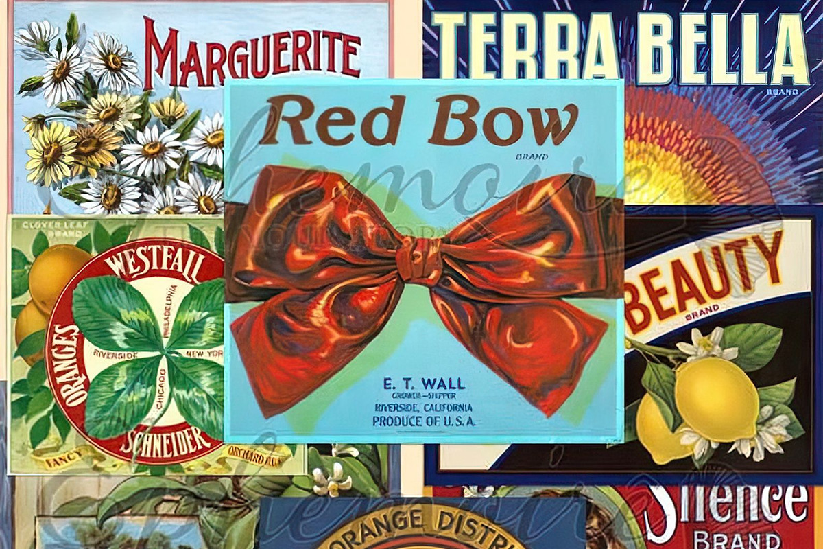 Vintage Fruit Crate Labels #3, an Illustration by ephemoire