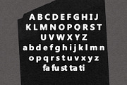 Jecylin Sans Serif Rounded Display, a Sans Serif Font by Maulana Creative (Thumbnail 6 of 7)