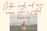 Amsterdam Silhouete Modern Script, a Script Font by stylishtype.co (Thumbnail 5 of 20)