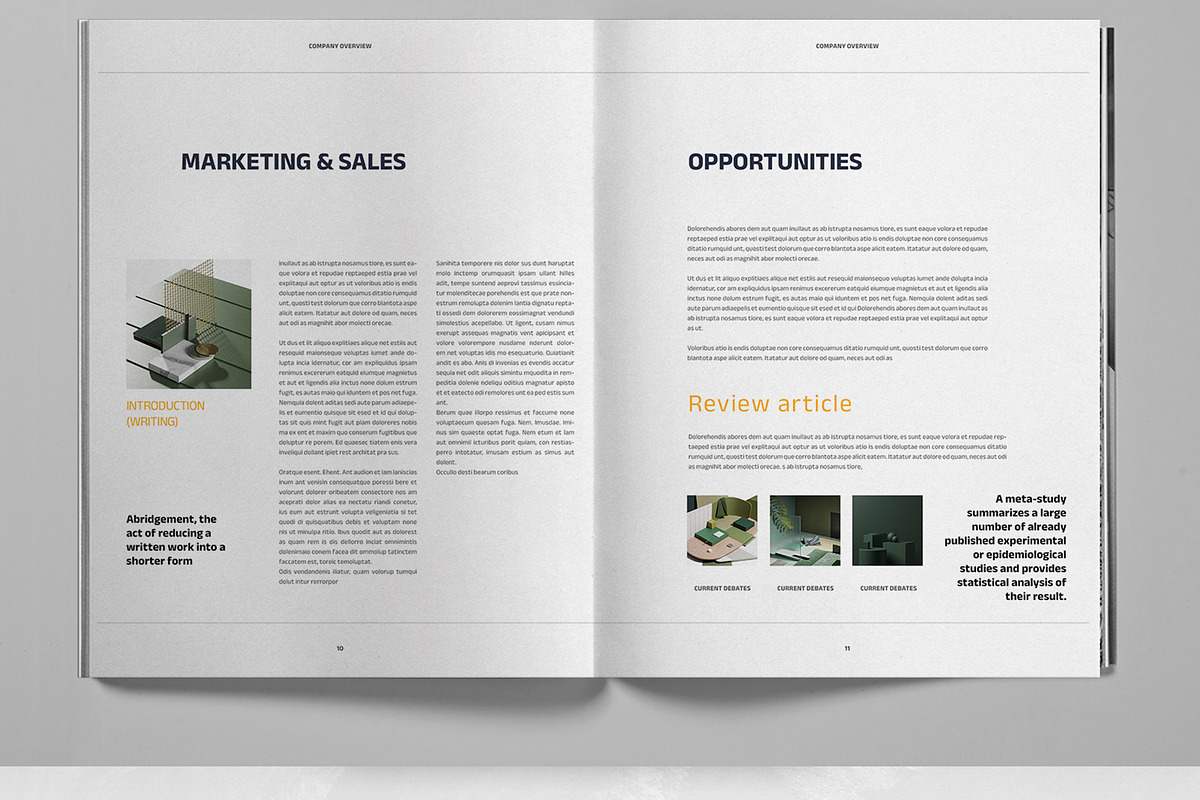 Company Overview Brochure Template, a Brochure Template by Boris Cupac (Photo 7 of 7)