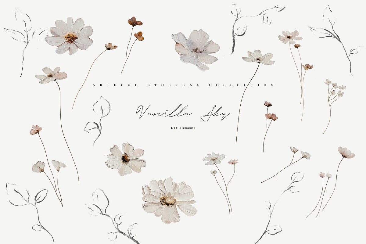 NEW! Late Summer Bundle, an Illustration by Isabelle Salem (Photo 202 of 216)