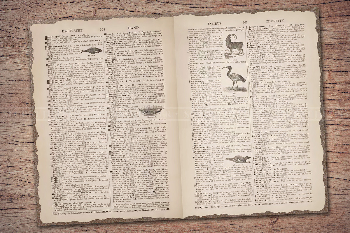 Old Dictionary Journal Pages