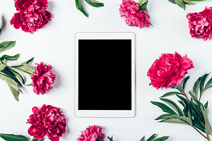 Digital tablet with blank screen among beautiful fresh pink peon