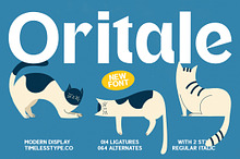 Oritale Modern Display Font