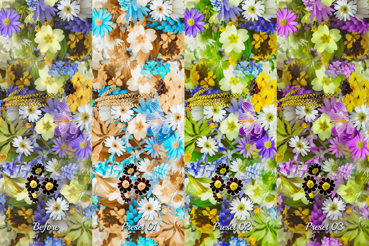 30 Flowers Lightroom Collection, a Preset Add-On by 3Motional (Photo 7 of 11)