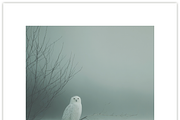 Ontreennok Series. The Liminal Space, a Decorative Illustration by milatovar (Thumbnail 17 of 25)