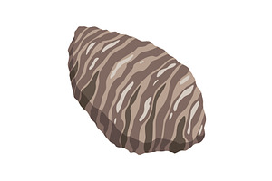 Oyster. Sea shell, cartoon, a Food Illustration by Things for designers