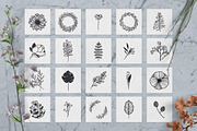 100 Hand Drawn Elements -Floral-, a Decorative Illustration by Michael Rayback Design (Thumbnail 2 of 18)