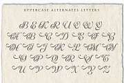 Bluesty | Classy Italic, a Script Font by Ef Studio (Thumbnail 15 of 15)