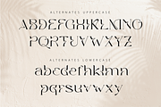 Marie Gold - Modern Unique Serif, a Serif Font by RagamKata (Thumbnail 8 of 10)
