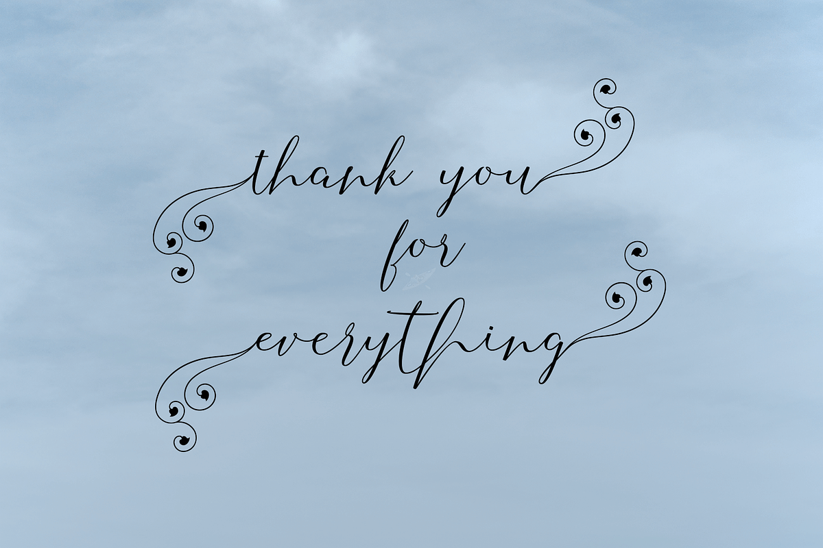 Selvia Font Duo preview 8