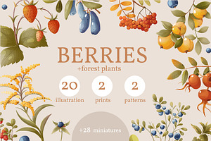Berries &forest plants