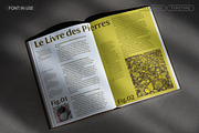 TT Quaris, a Serif Font by TypeType (Thumbnail 9 of 15)
