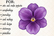 Watercolor Birth Month Flowers Clipa, an Illustration by Libby Wishes (Thumbnail 4 of 6)
