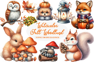 Autumn Fall Woodland Clipart, an Illustration by Daily.Designs