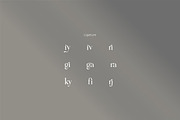Carina classy elegant font, a Serif Font by suhadidesign (Thumbnail 13 of 14)
